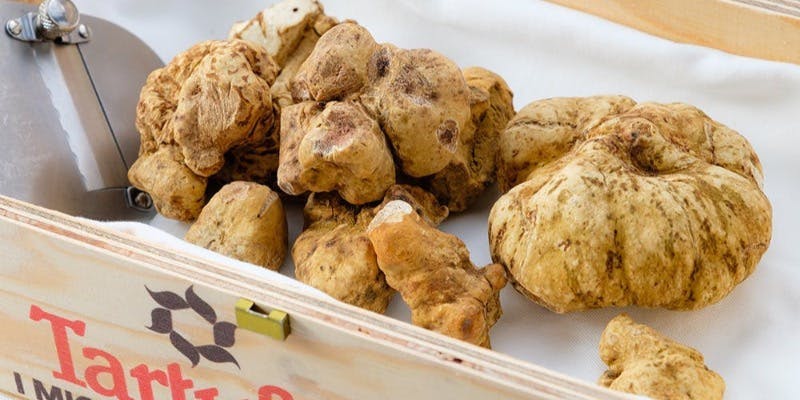 【12月限定】白トリュフを使用した特別コース