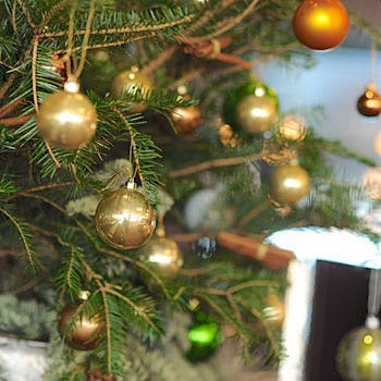 天神 クリスマス ディナー 21 人気おしゃれレストラン選 Okaimonoモール レストラン 天神 クリスマス ディナー 21 人気おしゃれレストラン選 Okaimonoモール レストラン