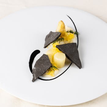 �G�g�D���X�L �T�[�� �W�l�X�g�� 1F