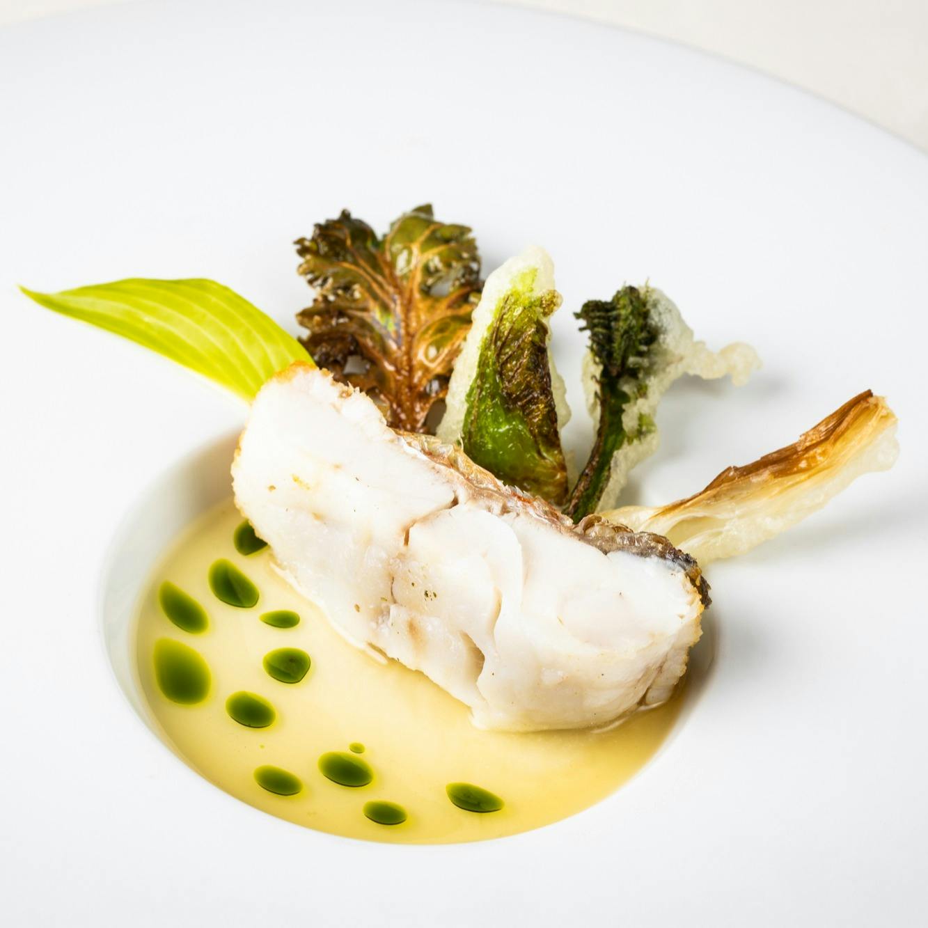 Ristorante Italiano Etruschi 本格イタリア料理ご堪能コース 全5品 ディナー プラン 10822749 メニュー 一休 Comレストラン