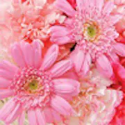 第5回フラワー小