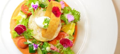 22年 最新 北新地の美味しいディナー30店 夜ご飯におすすめな人気店 一休 Comレストラン 22年 最新 北新地の美味しいディナー30店 夜ご飯におすすめな人気店 一休 Comレストラン