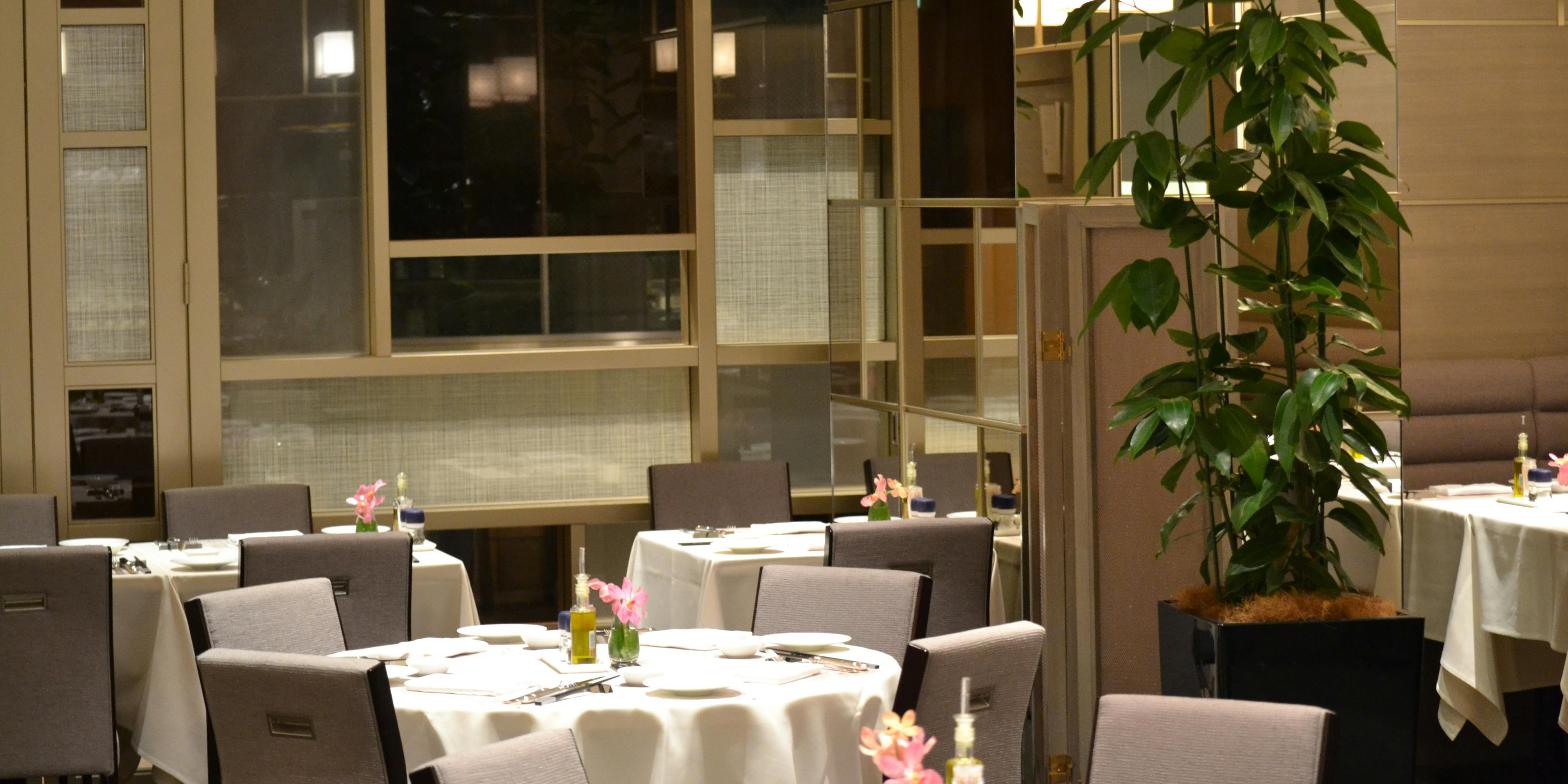 yasai french NR - 画像11