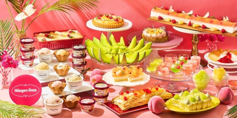 �V�F�t�Y ���C�u �L�b�`���^�z�e�� �C���^�[�R���`�l���^�� �����x�C