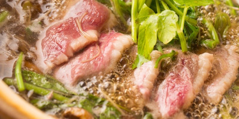 【好評の鴨鍋コース】柔らかな国産鴨肉と上品な脂がクセになる鍋です