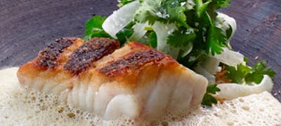 21年 最新 神戸どうぶつ王国周辺の美味しいディナー9店 夜ご飯におすすめな人気店 一休 Comレストラン 21年 最新 神戸どうぶつ王国周辺の美味しいディナー9店 夜ご飯におすすめな人気店 一休 Comレストラン