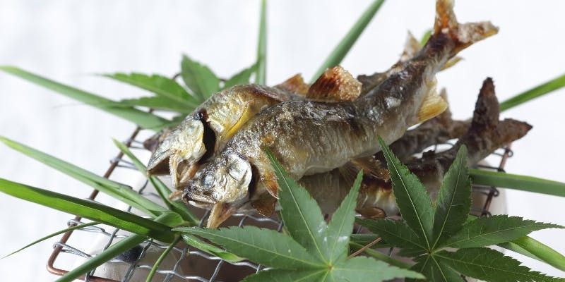 【個室確約】鰆や甘鯛、旬を盛り込んだ八寸や焼物など全10品～禄膳～（10名～リクエスト）