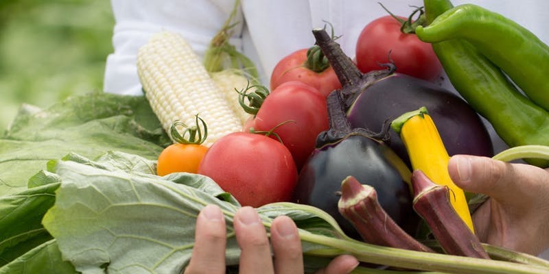 マリンワールド海の中道周辺の美味しいランチ30店 おしゃれ人気店 絶品ランチグルメ 22年 一休 Comレストラン