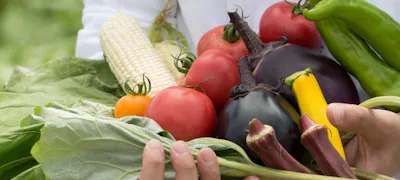 マリンワールド海の中道周辺の美味しいランチ30店 おしゃれ人気店 絶品ランチグルメ 22年 一休 Comレストラン マリンワールド海の中道周辺の美味しいランチ30店 おしゃれ人気店 絶品ランチグルメ 22年 一休 Comレストラン