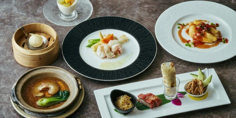 【8名～室料込/個室確約】フカヒレの姿煮や季節の食材を含む全7品＋飲み放題付（120分制）