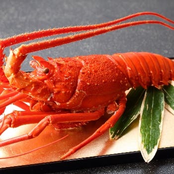 21年 最新 西荻窪駅周辺の美味しいディナー5店 夜ご飯におすすめな人気店 一休 Comレストラン