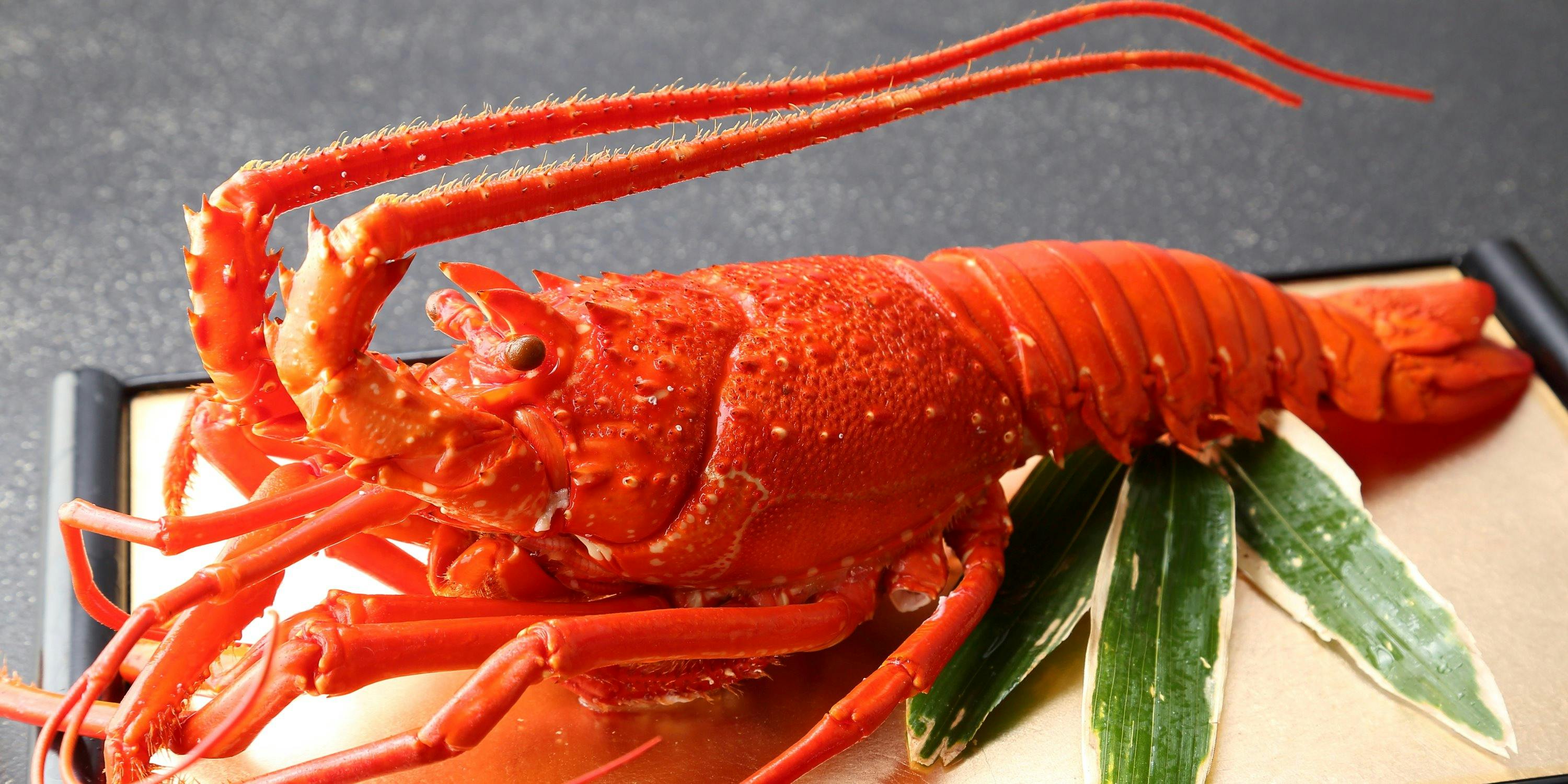 ふる林（ふるばやし）