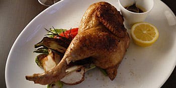 アデニア（ADENIA）