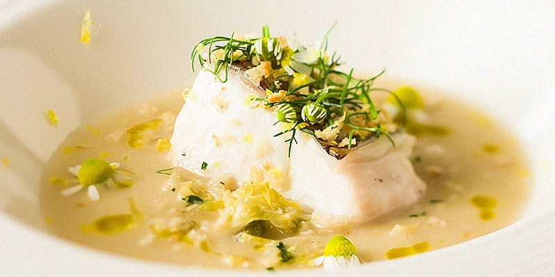 ヴィヴァッカス - 画像3