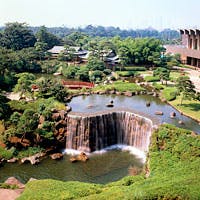 東京名園の1つにも数えられる歴史ある日本庭園を望むラウンジ