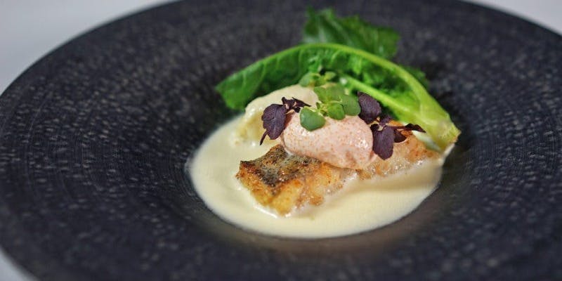 【シンフォニー】前菜、選べるスープ、肉と魚のWメインなど全7品　