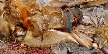 韓国料理 宮 KUNG - 画像10