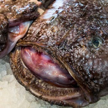 齁E���΁E������ ���