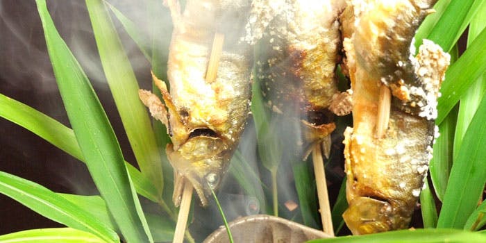 卓楽（たくらく）