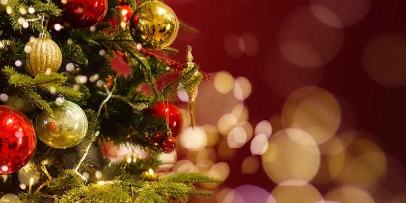 【Xmas2025】全6品クリスマスコース