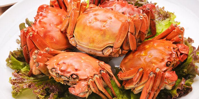 中国老舗 天津飯店 新宿本店（テンシンハンテン）