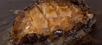 高田馬場ランチ21 おすすめ 絶品お昼ごはん10選 一休 Comレストラン 高田馬場ランチ21 おすすめ 絶品お昼ごはん10選 一休 Comレストラン