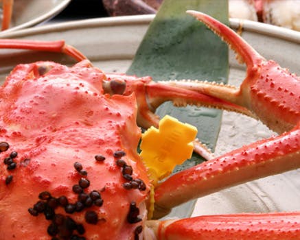 �ӂ����A�]�m�O