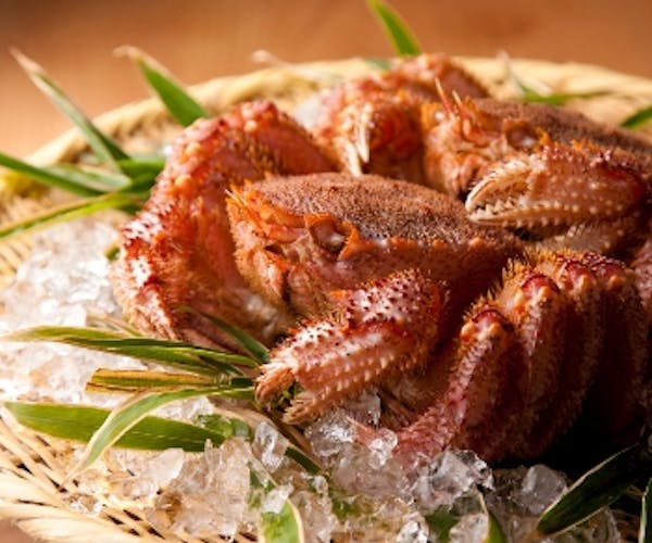 ディナー 個室 ふくい 望洋楼 Okaimonoモール レストラン ディナー 個室 ふくい 望洋楼 Okaimonoモール レストラン