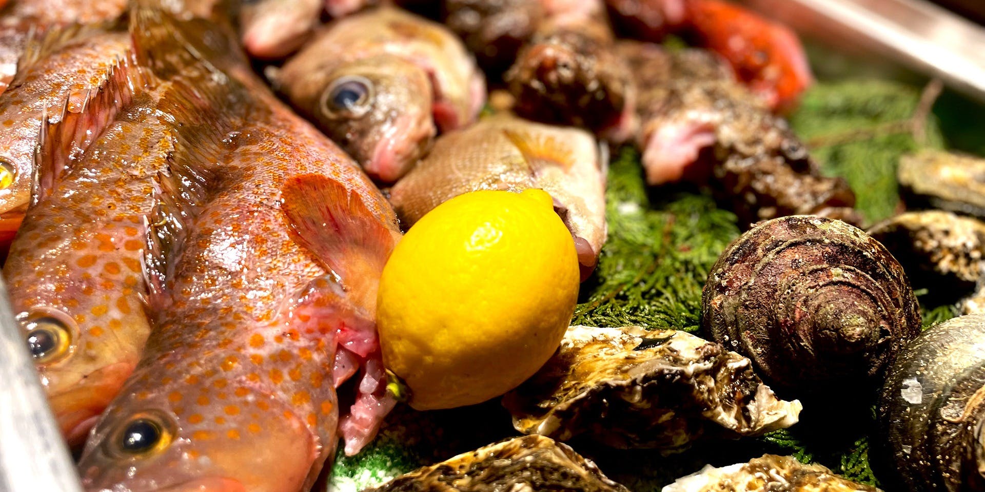 銀座 遠音近音 - 画像4