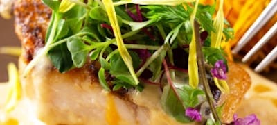 21年 最新 北海道の美味しいディナー17店 夜ご飯におすすめな人気店 一休 Comレストラン 21年 最新 北海道の美味しいディナー17店 夜ご飯におすすめな人気店 一休 Comレストラン