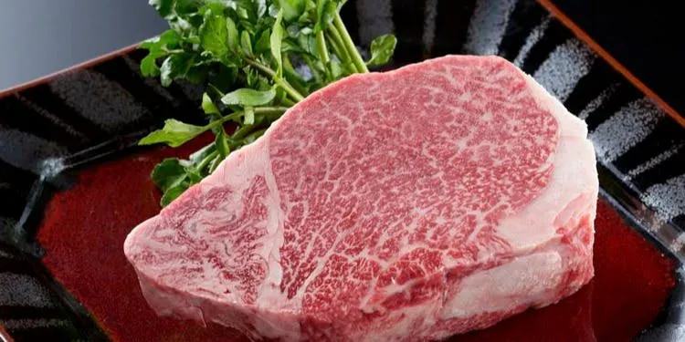 若会席 大和館 ヤマトカン 新橋 鉄板焼 一休 Comレストラン