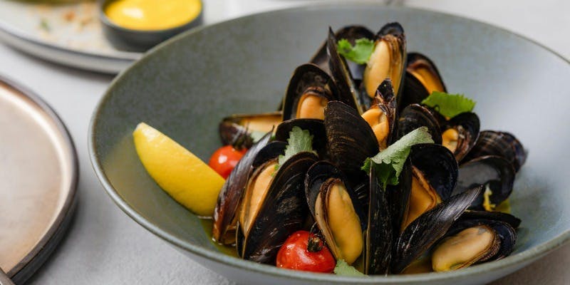 【カジュアルスパニッシュイタリアンパーティプラン】奥丹波鶏を含む肉料理Wの大皿8品＋120分飲み放題