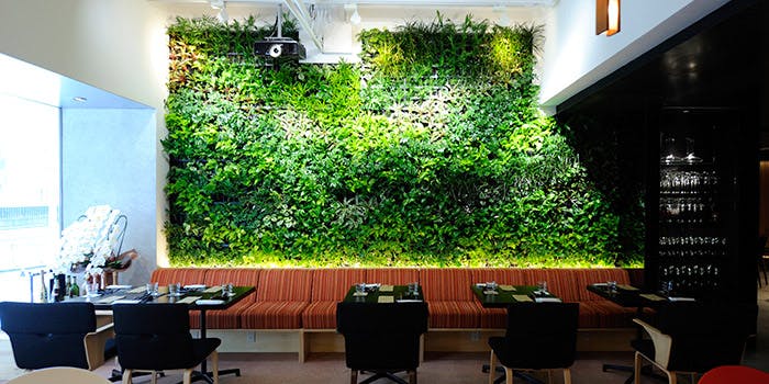 ココノマ シーズンダイニング 六本木ホテルs内 アフタヌーンティ カフェフリー付 デザート盛り合わせ ティー プラン メニュー 一休 Comレストラン