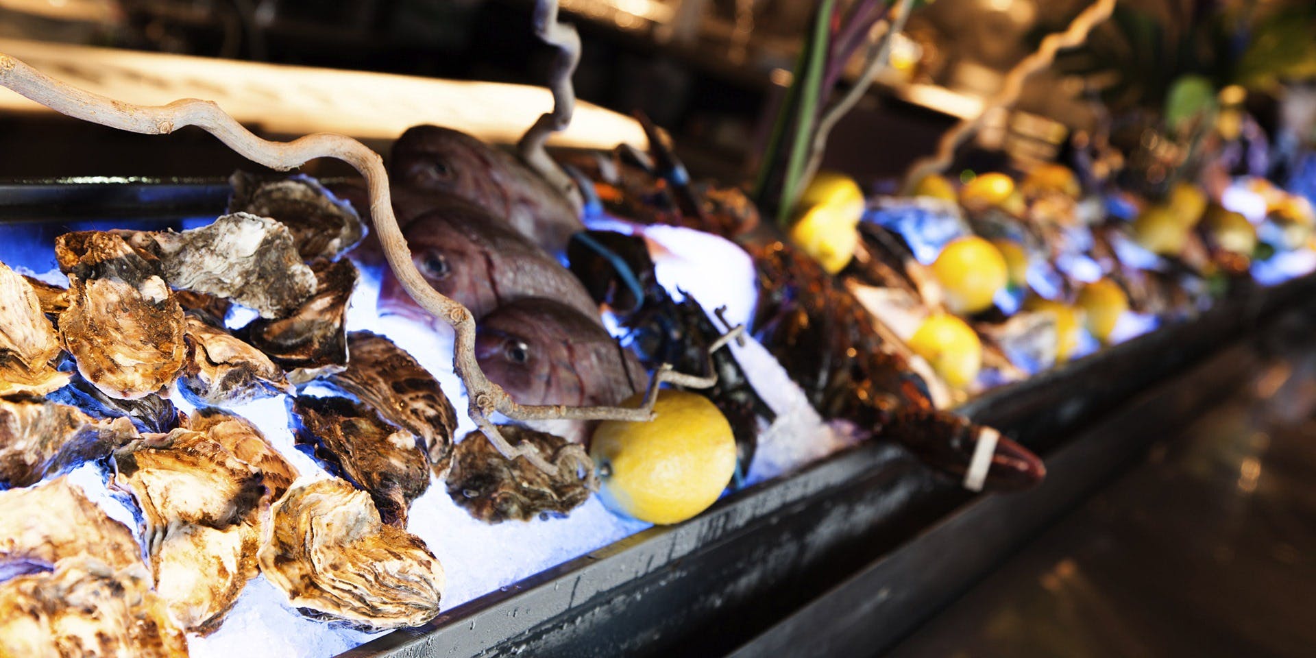 MAIMON GINZA（マイモン）