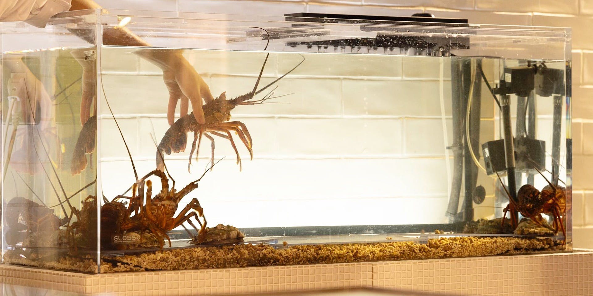 Atout 心斎橋 - 画像4