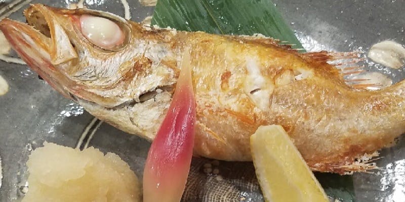 綾（AYA）