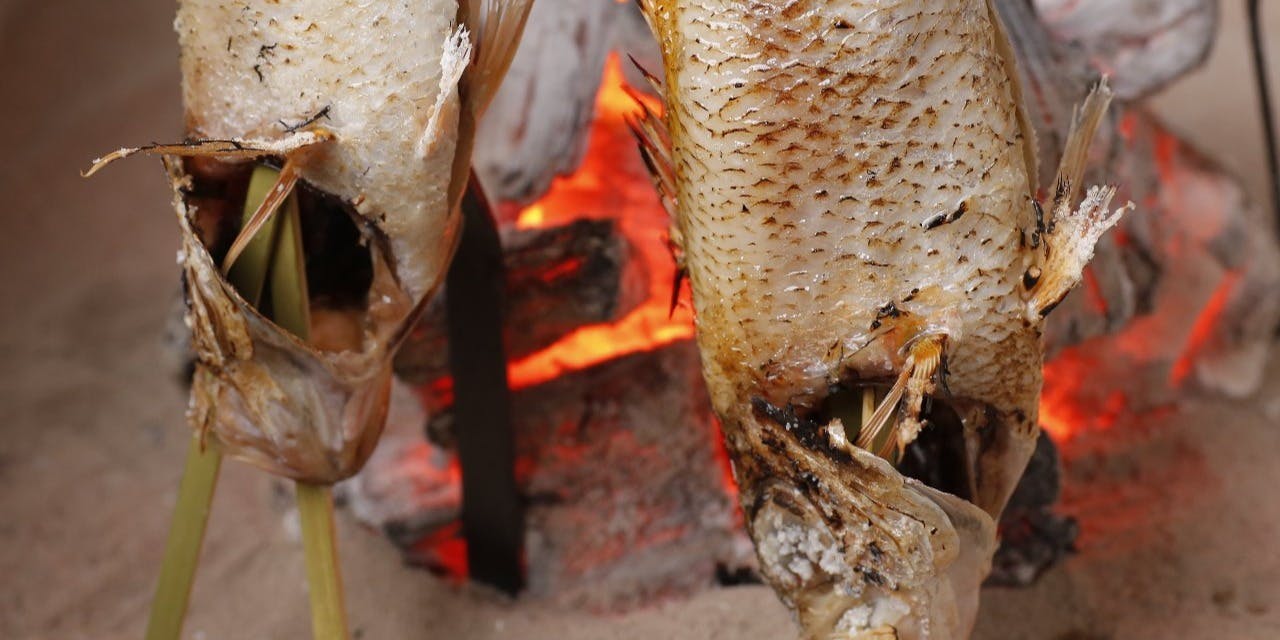 銀座方舟　大吟醸いろり店 - 画像14