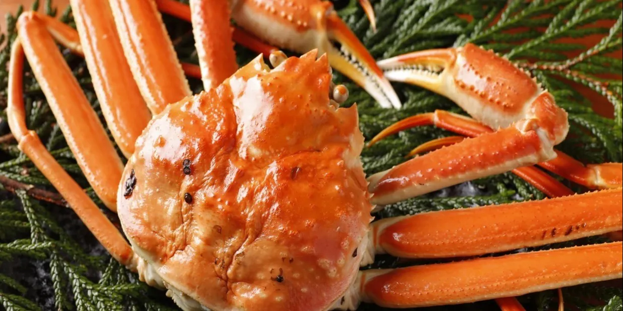 銀座方舟 大吟醸いろり店 ギンザハコブネ ダイギンジョウ イロリテン 銀座 北陸の囲炉裏料理 日本酒 一休 Comレストラン 銀座方舟 大吟醸いろり店 ギンザハコブネ ダイギンジョウ イロリテン 銀座 北陸の囲炉裏料理 日本酒 一休 Comレストラン