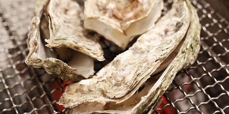 銀座方舟　大吟醸いろり店 - 画像6