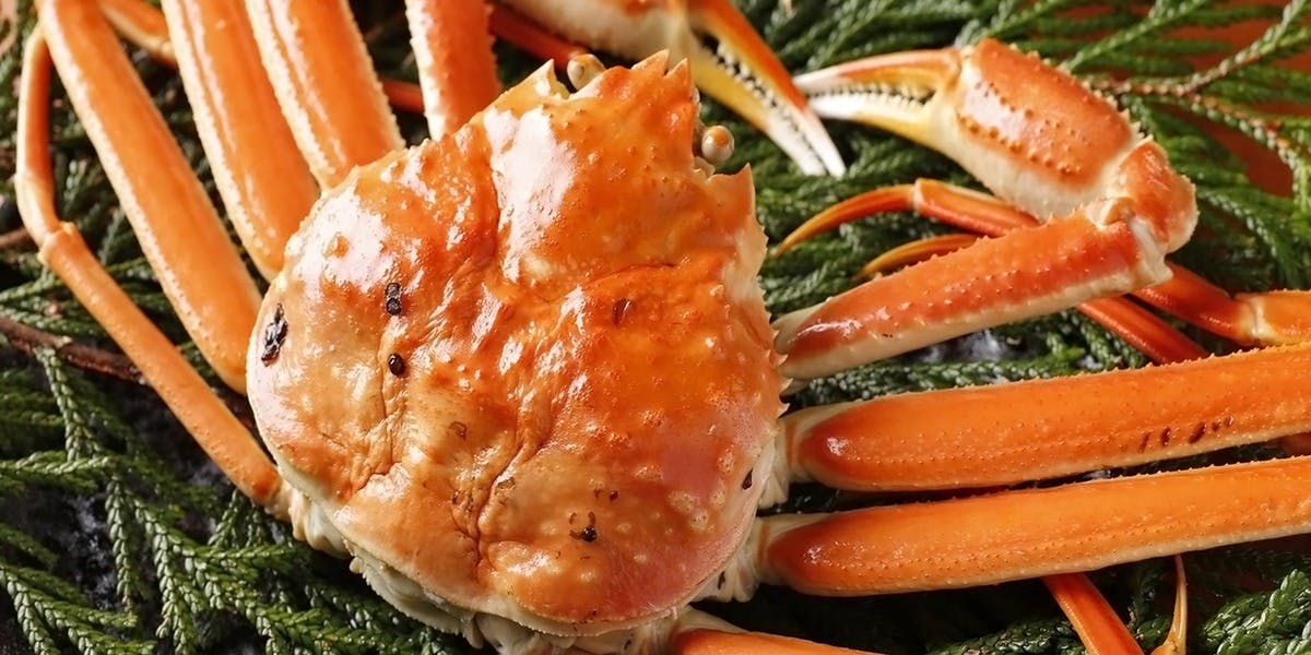 銀座方舟　大吟醸いろり店 - 画像7