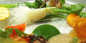 エルジノ（ELGINO）