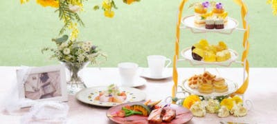 女子会ランチにおすすめ おしゃれなお店10選 一休 Comレストラン 女子会ランチにおすすめ おしゃれなお店10選 一休 Comレストラン