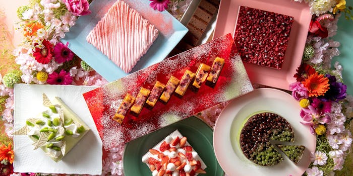 浦安のケーキバイキングが楽しめるおすすめレストラントップ5 一休 Comレストラン 浦安のケーキバイキングが楽しめるおすすめレストラントップ5 一休 Comレストラン