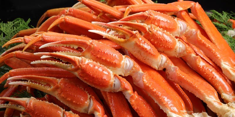 【11/1～1/5食べ放題本ズワイ蟹ブッフェ】＋ぶどうジュース（平日・90分）