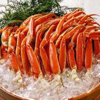 クリスマス ディナー スカイレストラン エトワール 都シティ 大阪天王寺 Okaimonoモール レストラン