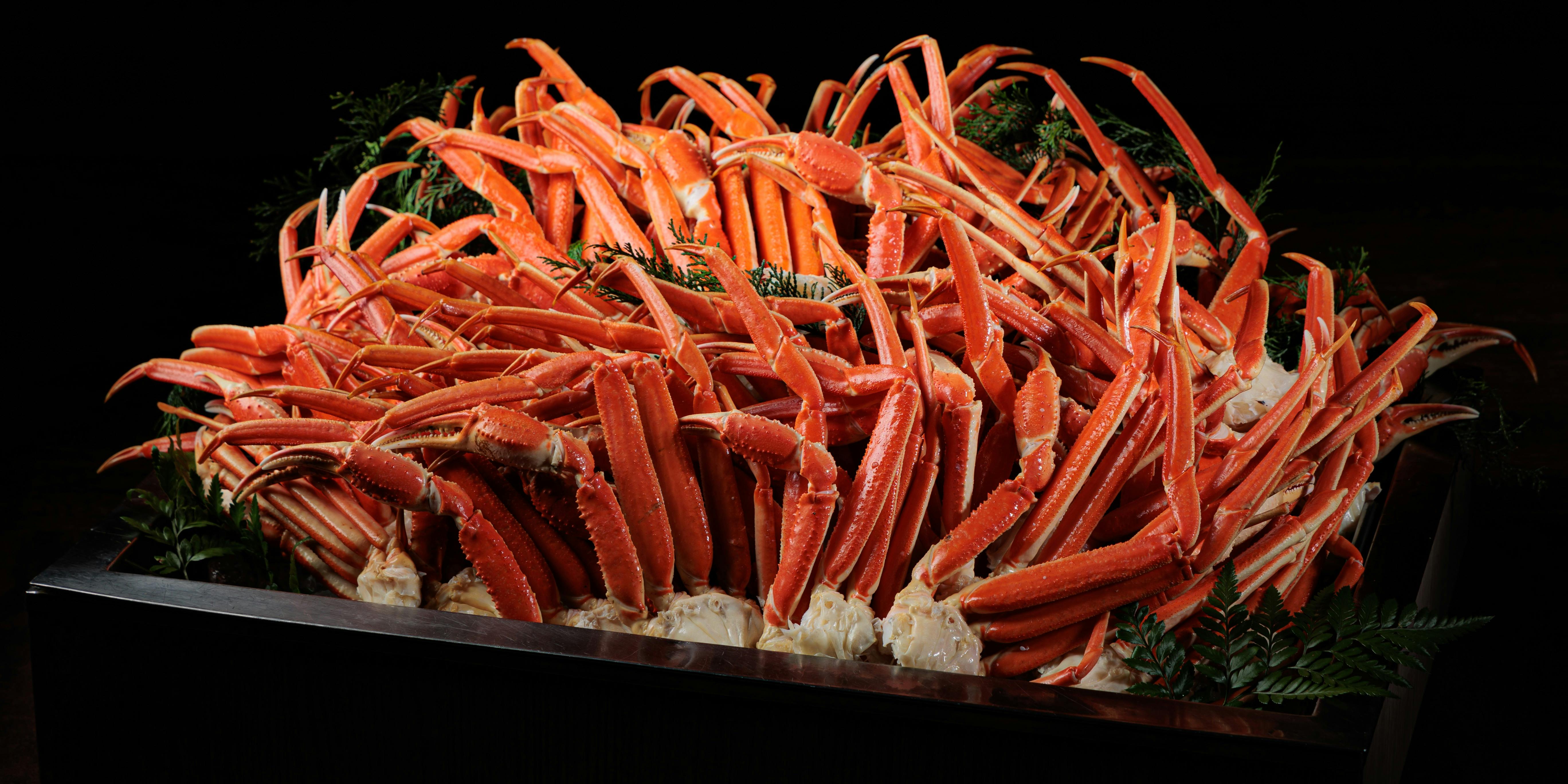 スカイレストラン エトワール／都シティ 大阪天王寺(旧 天王寺都ホテル) - 画像8