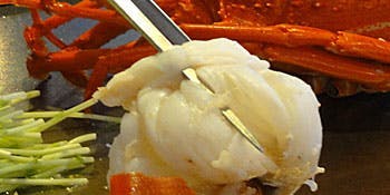 炫（ひかり）