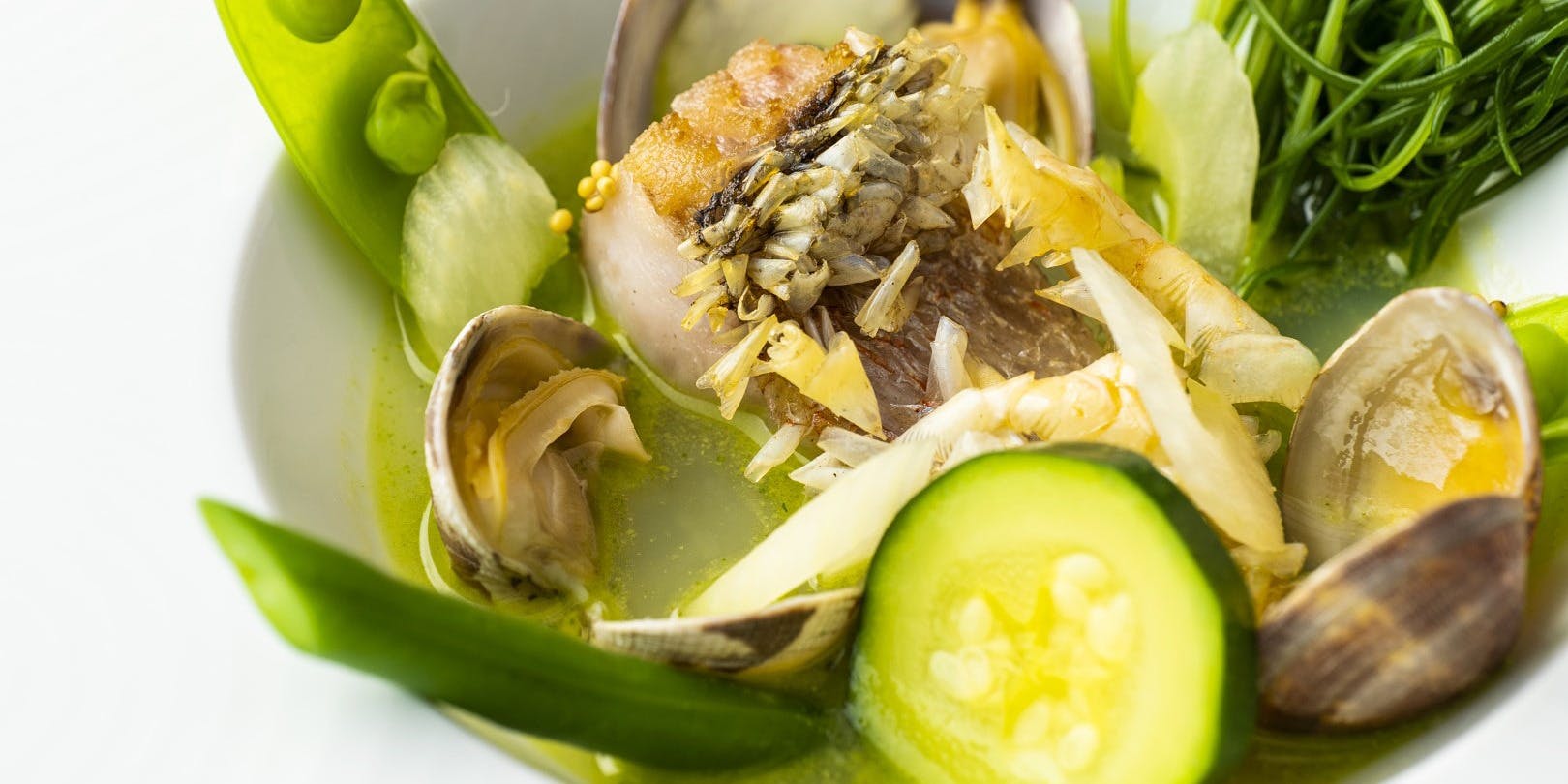 ヤマガタ サンダンデロ（YAMAGATA San-Dan-Delo）