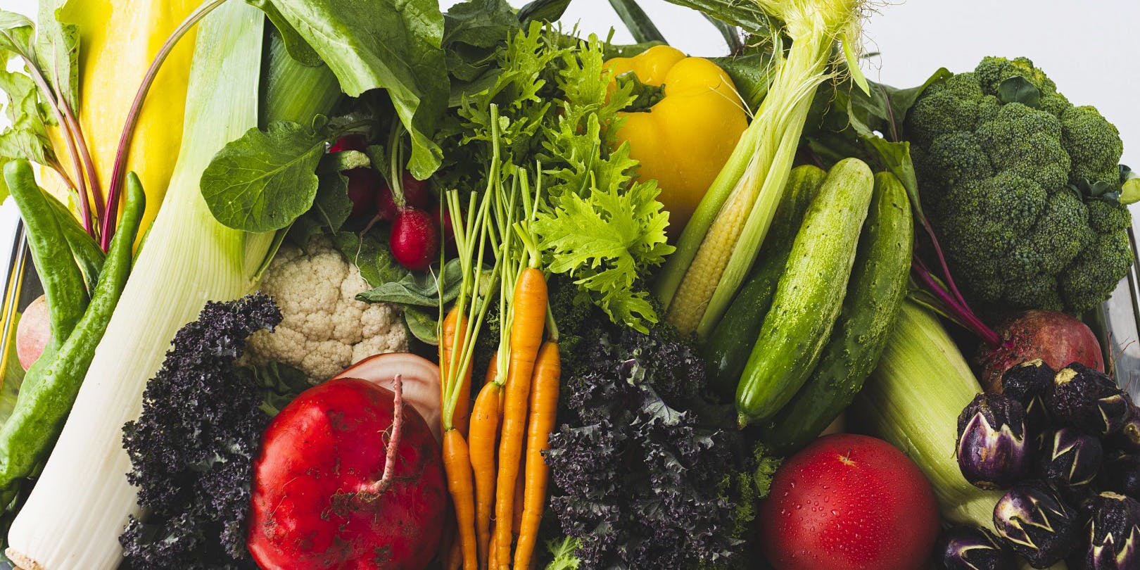 ヤマガタ サンダンデロ - 画像3