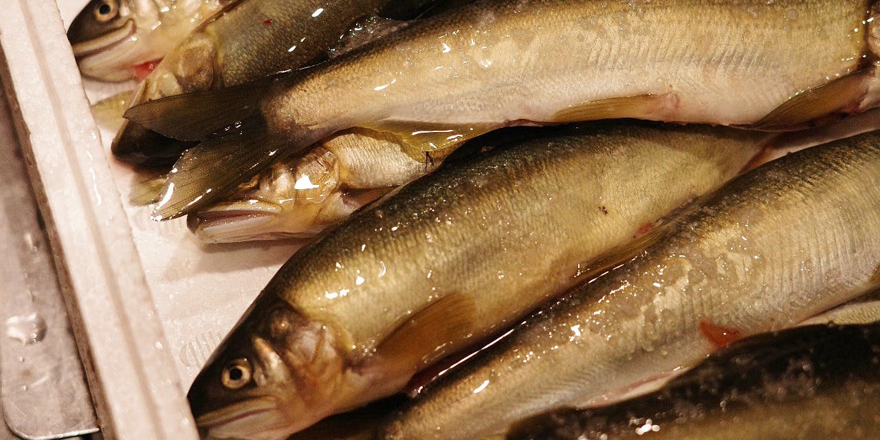 トラットリアセレーナ（Trattoria Serena）